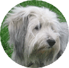 oskar